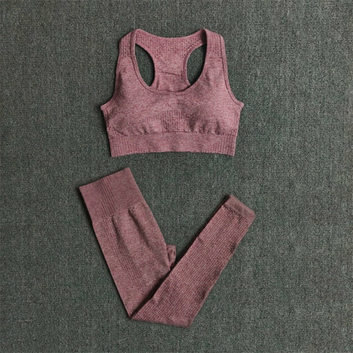 Women Seamless Yoga Set Fitness Sports Suits Gym Clothing Long Sleeve