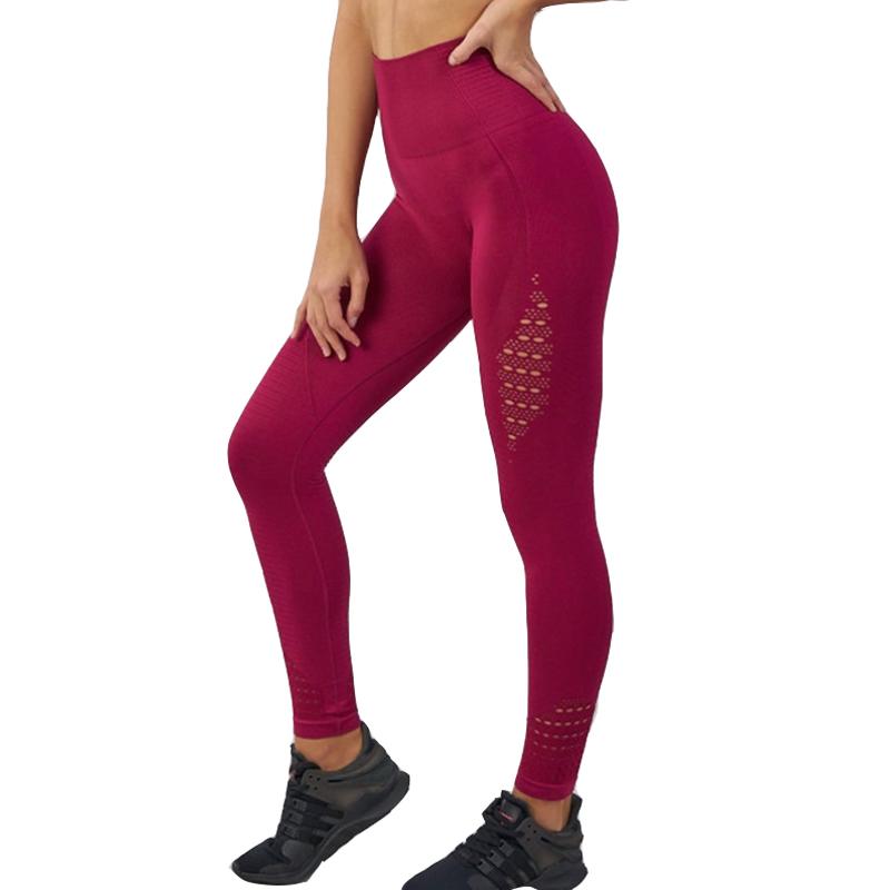 Shark High Waisted Yoga Pants Gym Seamless Leggings High Elastic